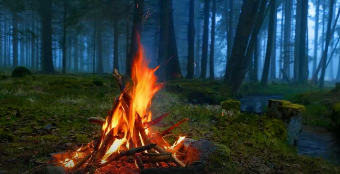 CAMPFIRE IN THE WOODS       2026-03-18_14-00-26