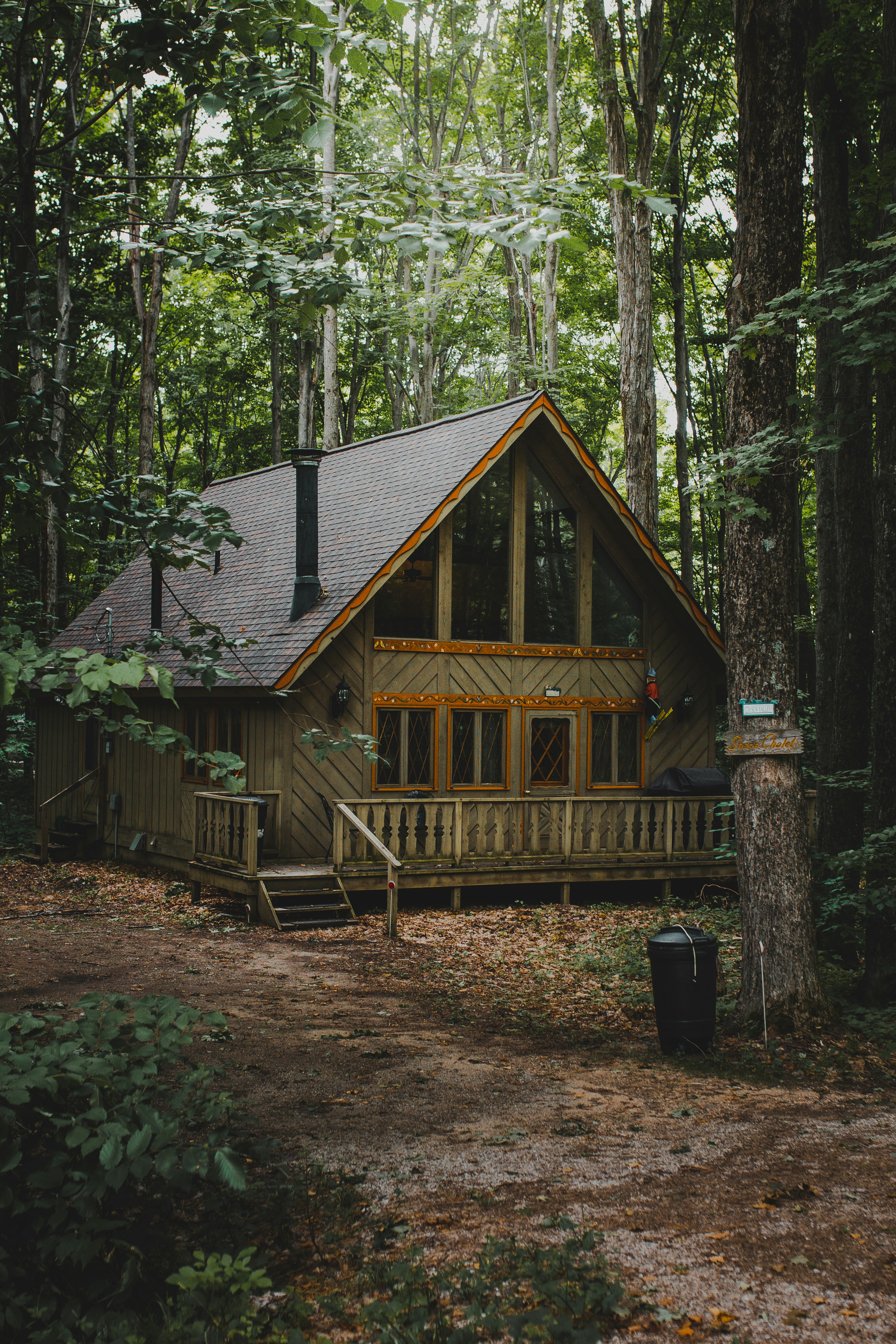 CABIN IN THE WOODS