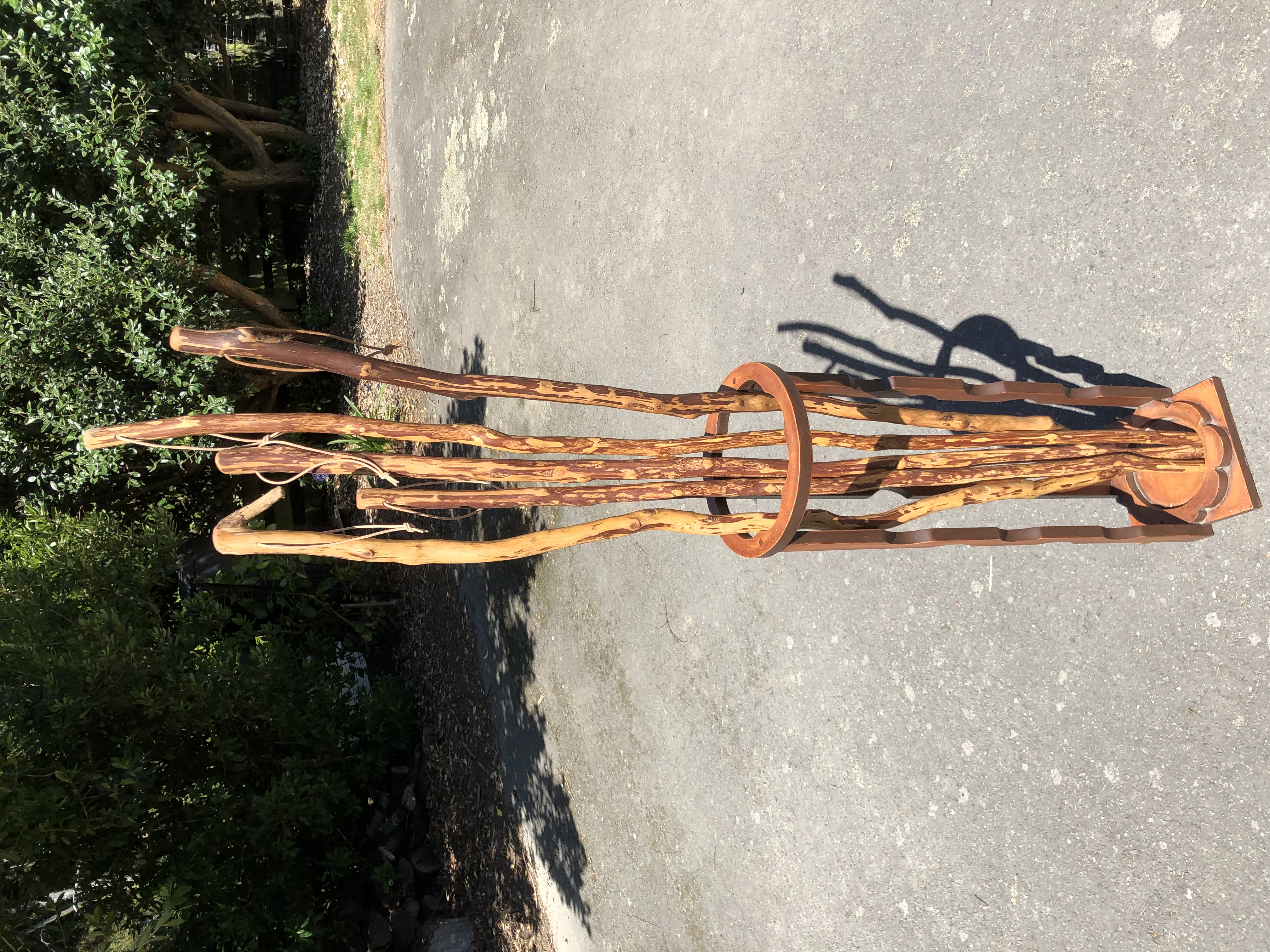 WalkingSticks