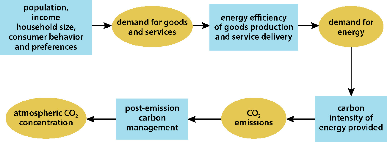 Variables determining CO2 concentrations