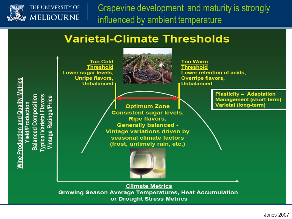 Slide19