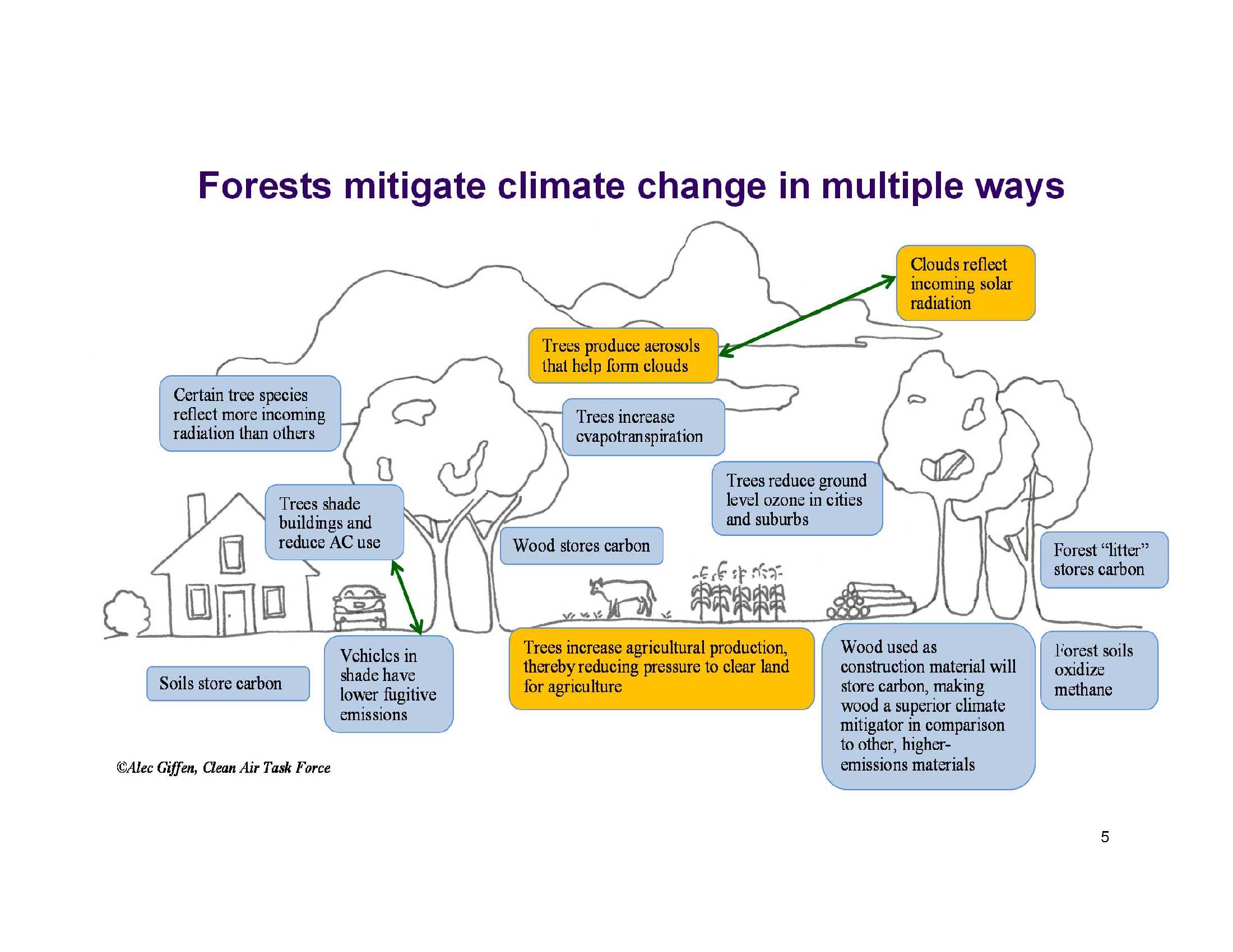 2014 CATF_Forestry and Climate Systems_5