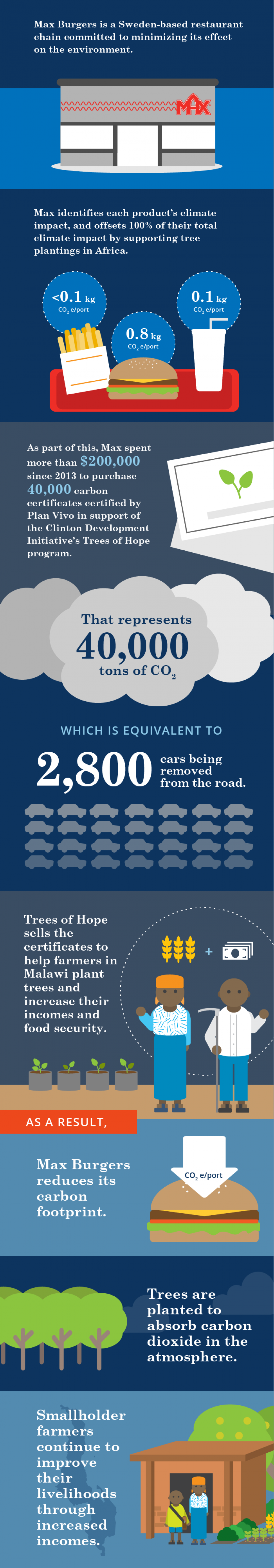 Infographic Carbon Offsets