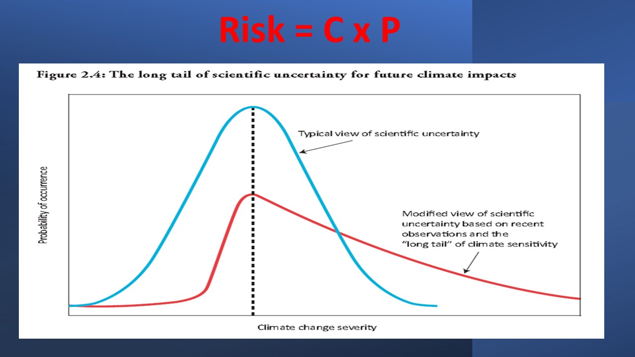 defining risk