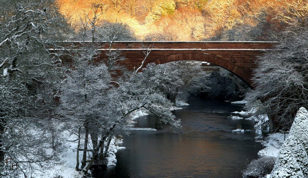 Bridge       2026-01-25_7-10-12