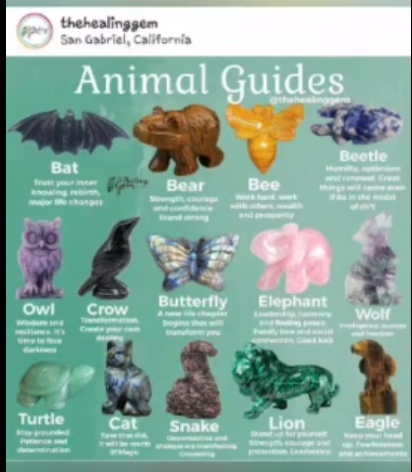 Animal Guides