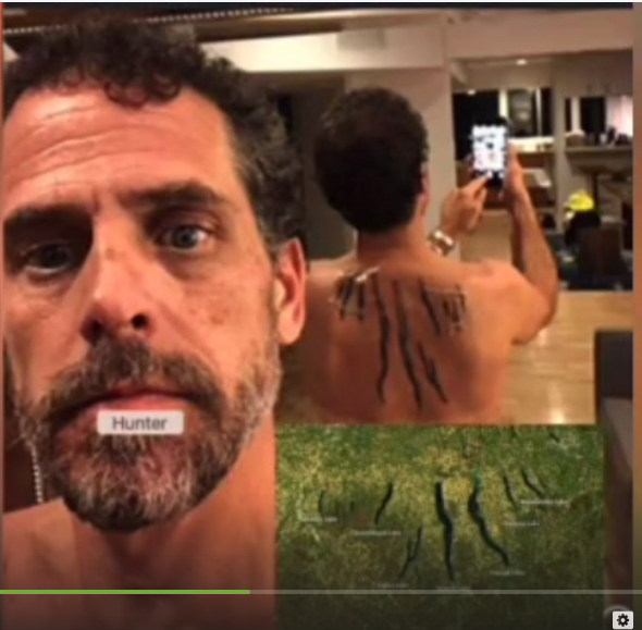 Hunter Biden Finger Lakes Tatoo