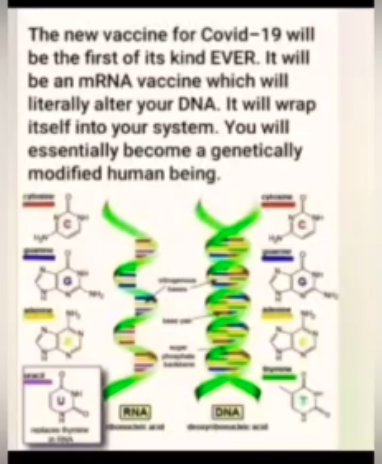 Genetically Modified Human Being