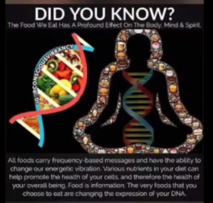 Food and Your DNA