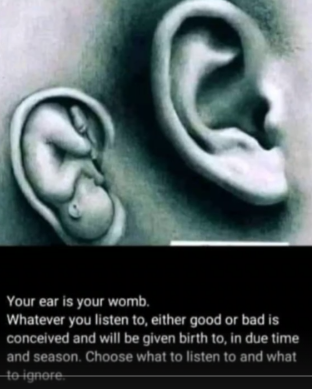 Your Ear
