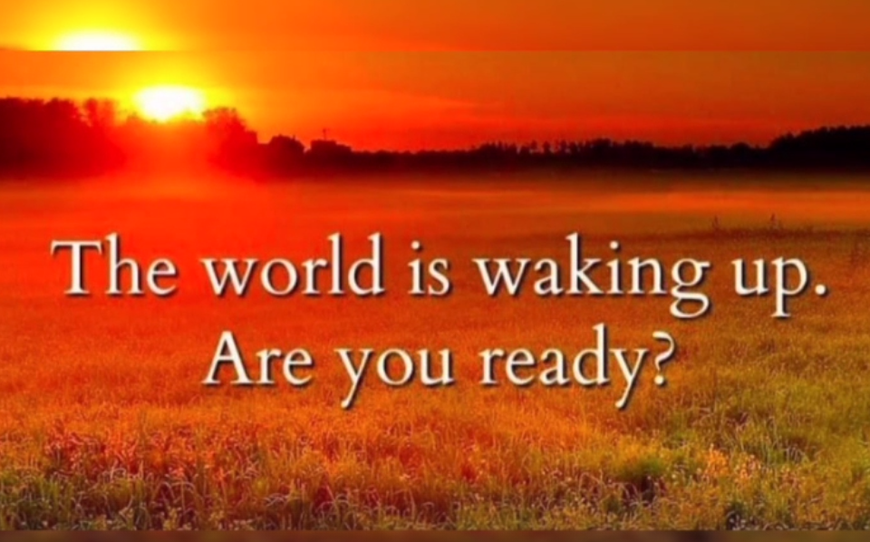 The World