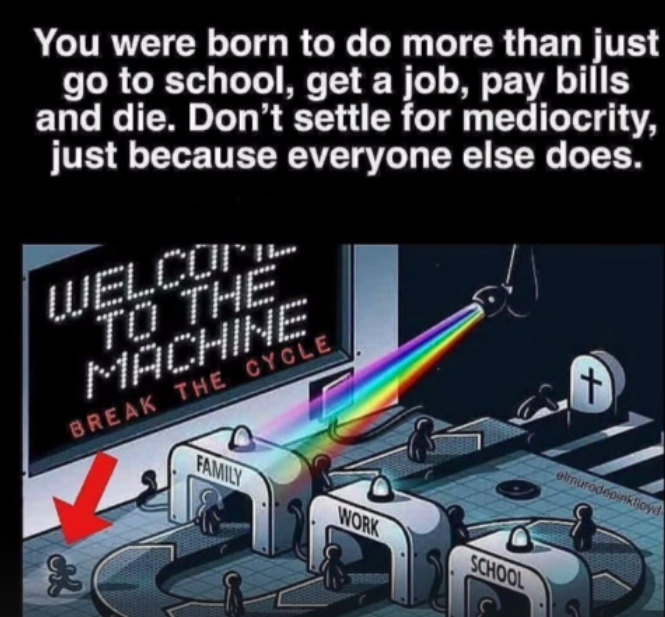 You were born to do more