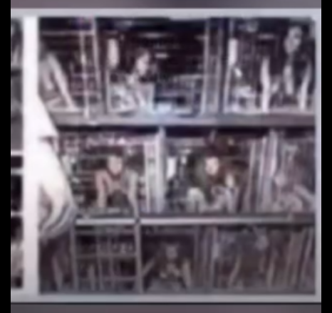 Chlildren in Cages