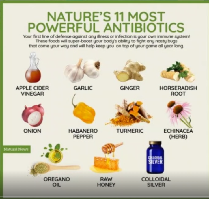 Natural Antibiotics