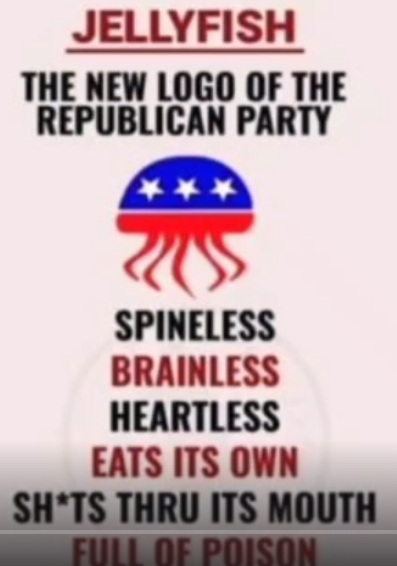 Jellyfish
