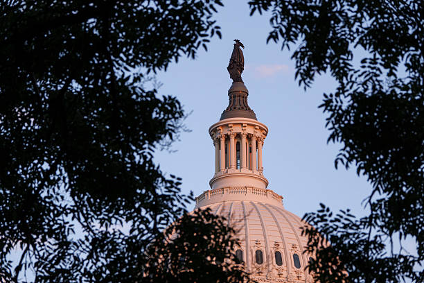 STATUE OF FREEDOM