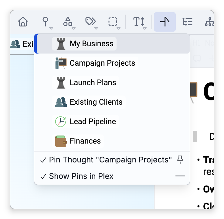 The Pins button's menu: the six pins, then Pin Thought "Campaign Projects" and Show Pins in Plex, both ticked