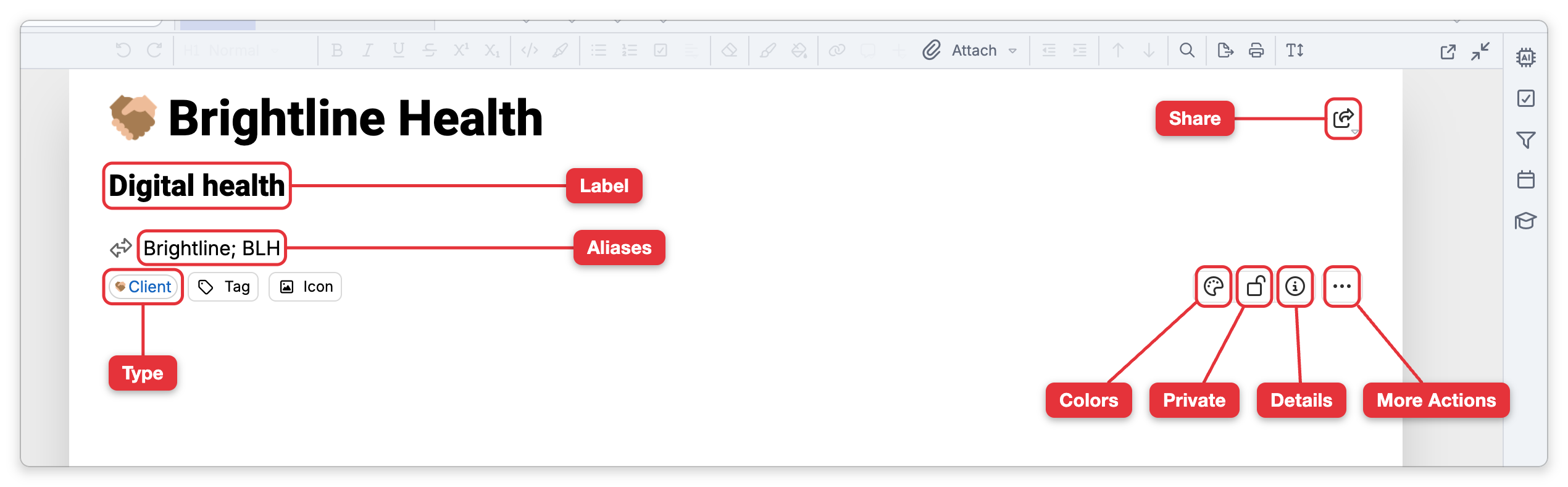 The properties header of Brightline Health after its name was clicked: the name, the label Digital health, the aliases Brightline; BLH, and the control row with the Client type chip, Tag and Icon on the left and four icon buttons on the right. Labels point at the label, the aliases, the type chip, the share button, and the Colors, Private, Details and More Actions buttons