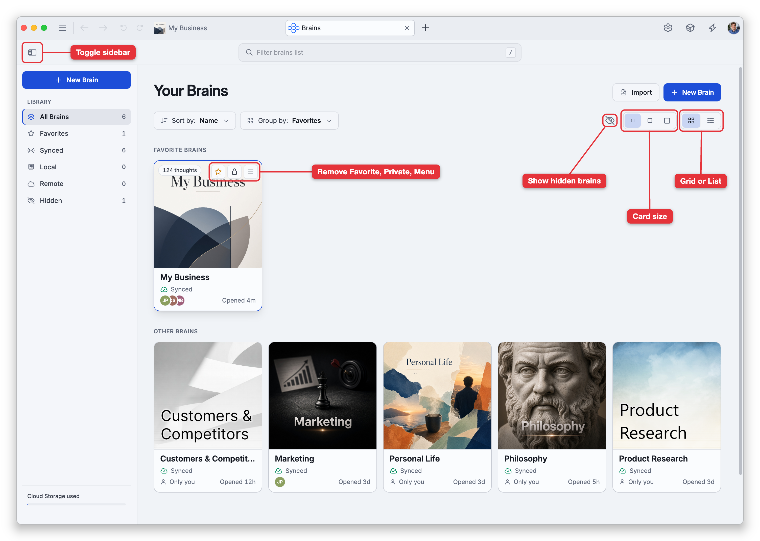 The brains list in a tab of its own on the desktop app: the Library sidebar with All Brains, Favorites, Synced, Local, Remote and Hidden, the Filter brains list box, Import and New Brain, Sort by Name and Group by Favorites, and the brains as cards, with My Business under Favorite Brains and five more under Other Brains. The pointer is on the My Business card, which shows its thought count and three buttons. Labels point at the Toggle sidebar button, the Show hidden brains button, the card size and Grid or List buttons, and the card's Remove Favorite, Private and Menu buttons