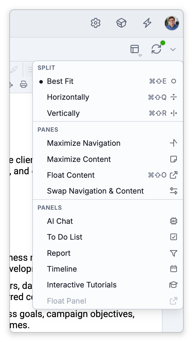 The Window Layout menu open from the brain toolbar, with Best Fit, Horizontally and Vertically under Split, then the Panes and Panels sections