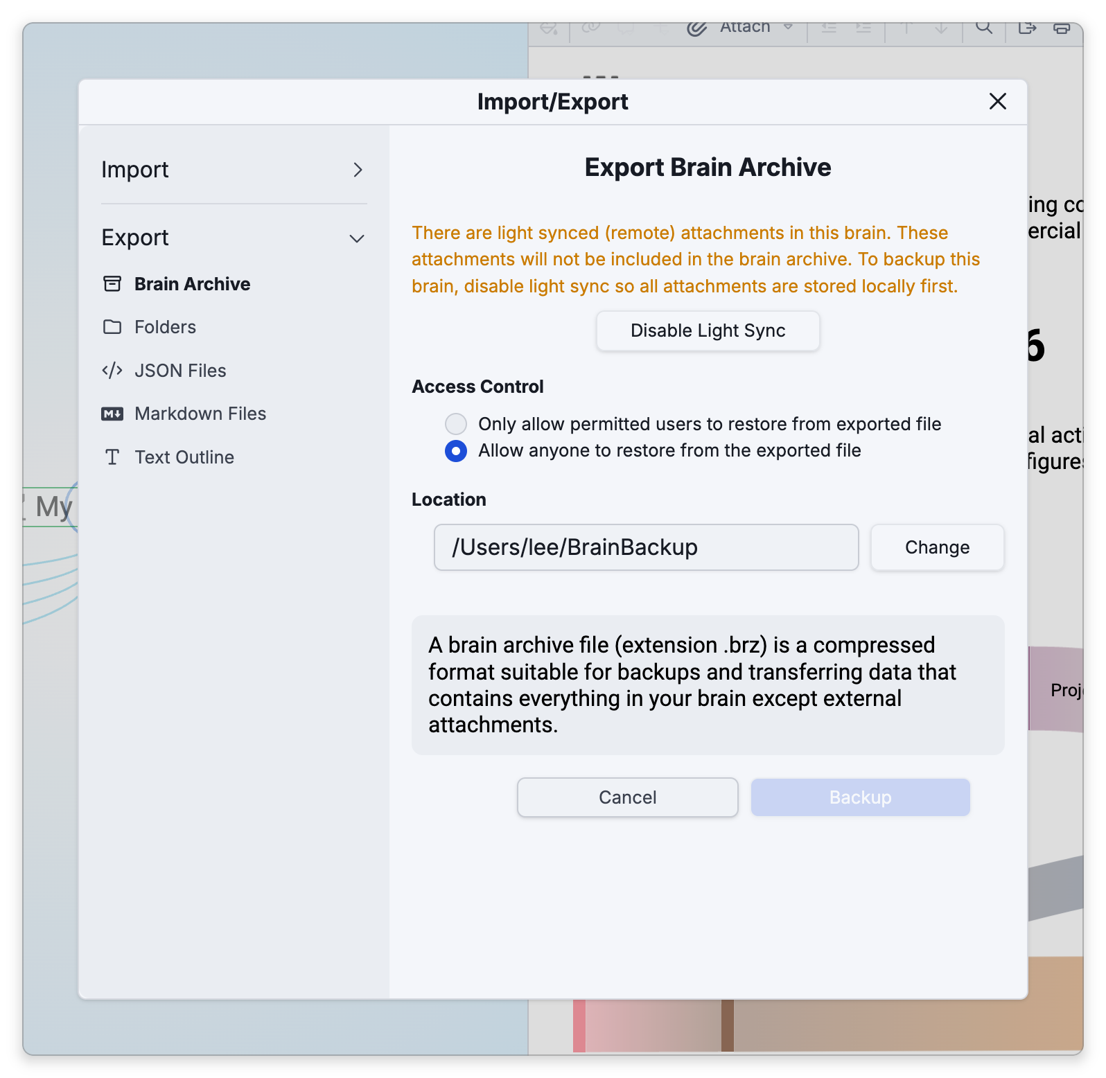 The Export Brain Archive settings in the desktop app: a warning that light-synced attachments aren't included, with a Disable Light Sync button; the Access Control choice between Only allow permitted users to restore from exported file and Allow anyone to restore from the exported file; the Location box with Change; and Cancel and Backup, which stays unavailable until light sync is off