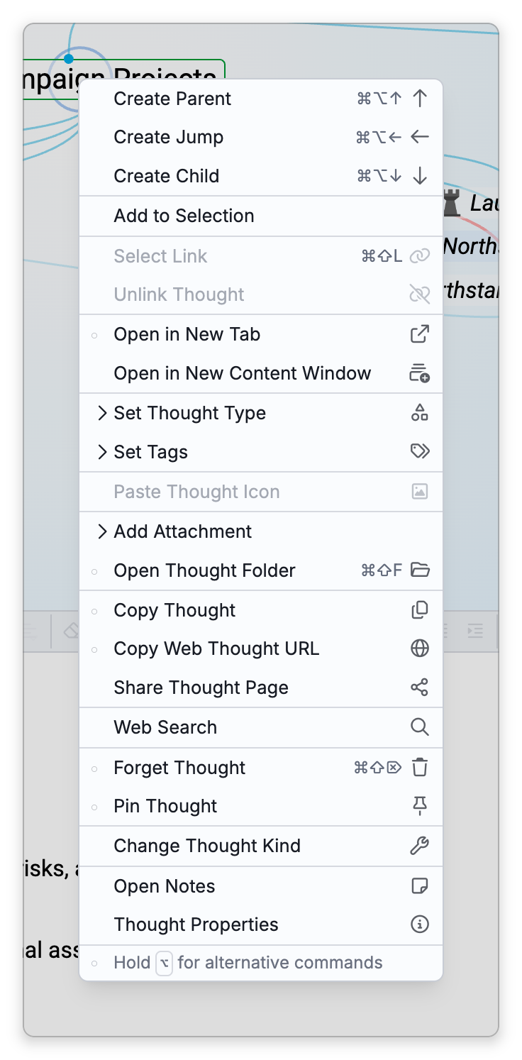 The menu that right-clicking a thought opens, with Pin Thought near the bottom