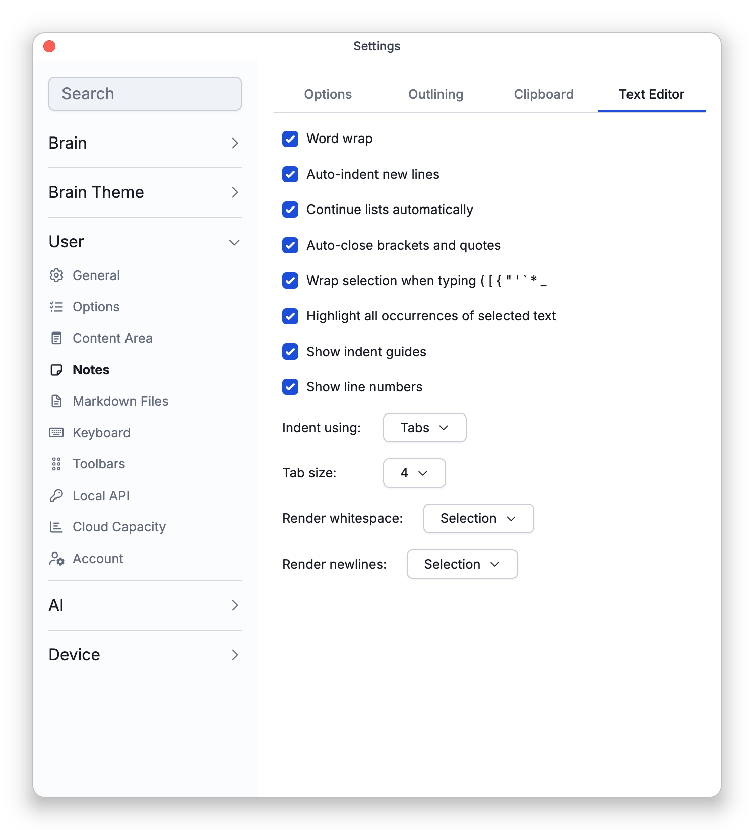 The Text Editor sub-tab of the Notes settings, with its checkboxes for wrapping, indentation and brackets, and the Indent using, Tab size, Render whitespace and Render newlines menus