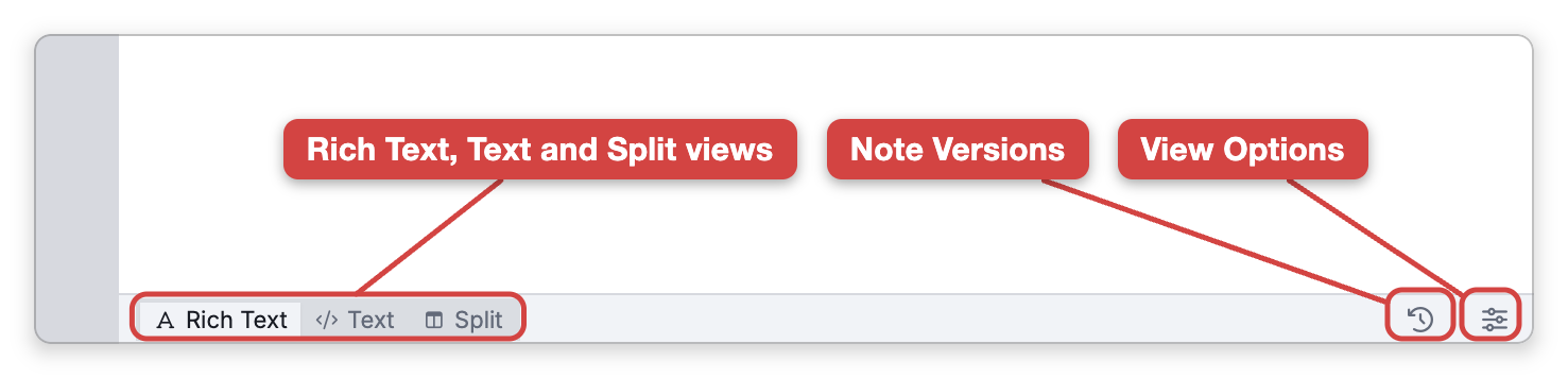 The status bar along the bottom of a note, with labels on the Rich Text, Text and Split buttons at the left, and the Note Versions and View Options buttons at the right