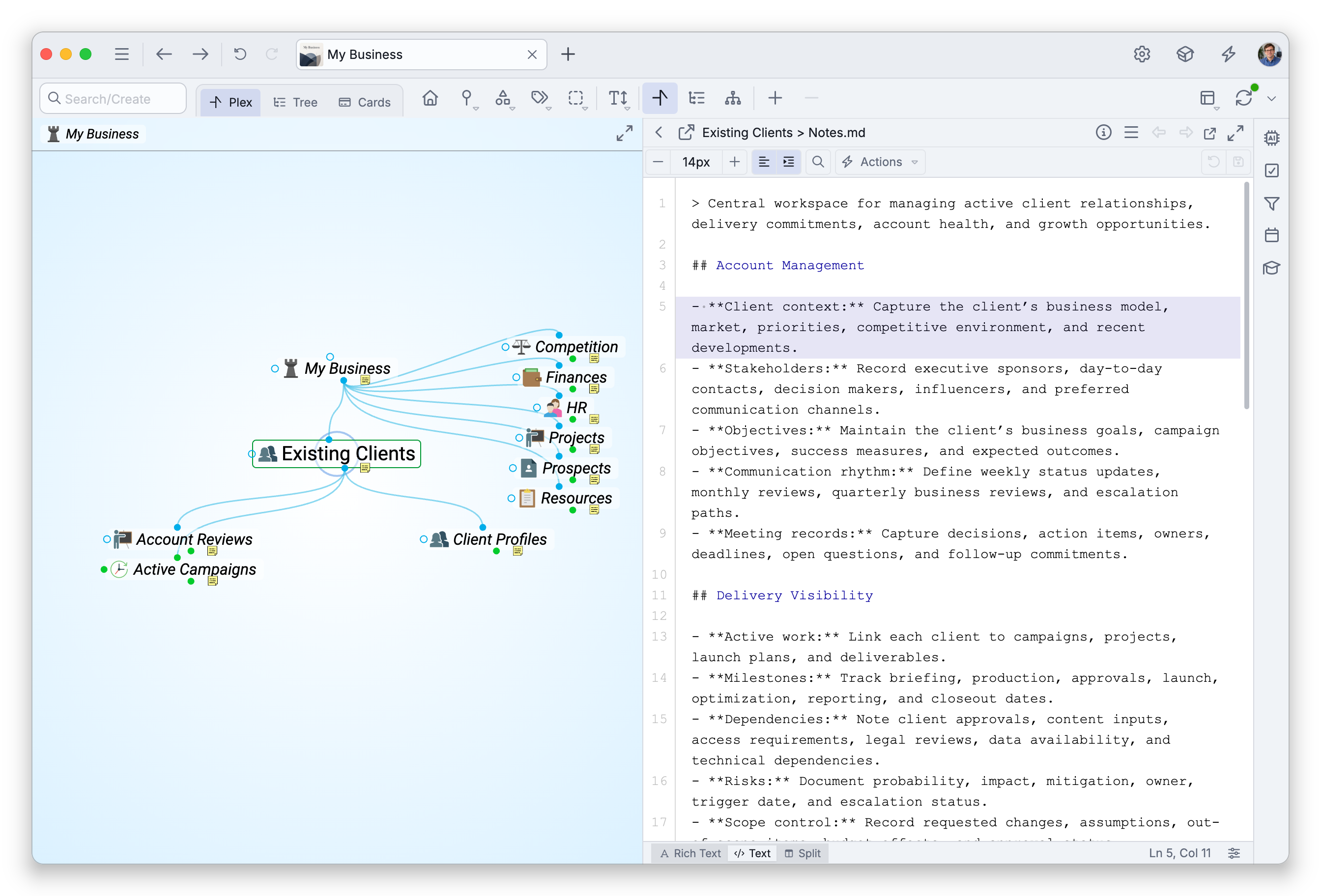 A brain window with the note of Existing Clients in the Text view — its Markdown, with a number beside each line and its headings shown in color