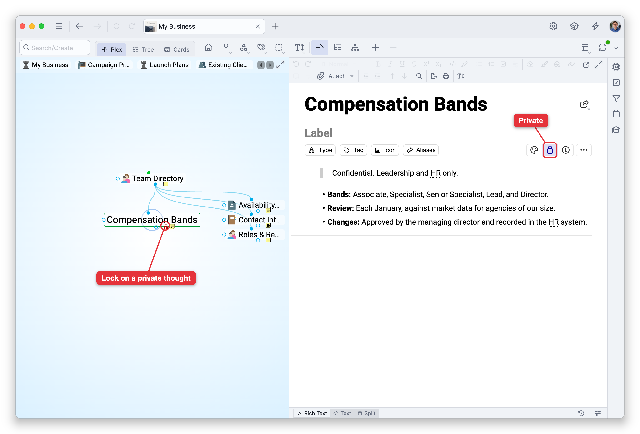 The private thought Compensation Bands, active in the Plex under Team Directory, with its note on the right. The Lock button in its properties header is on, with a label, and a label points at the small red lock that the Plex draws under the thought