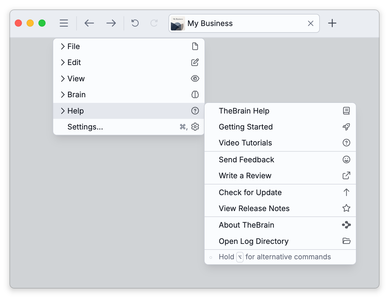 The Main Menu with Help open, with Check for Update and View Release Notes in the middle and About TheBrain below them