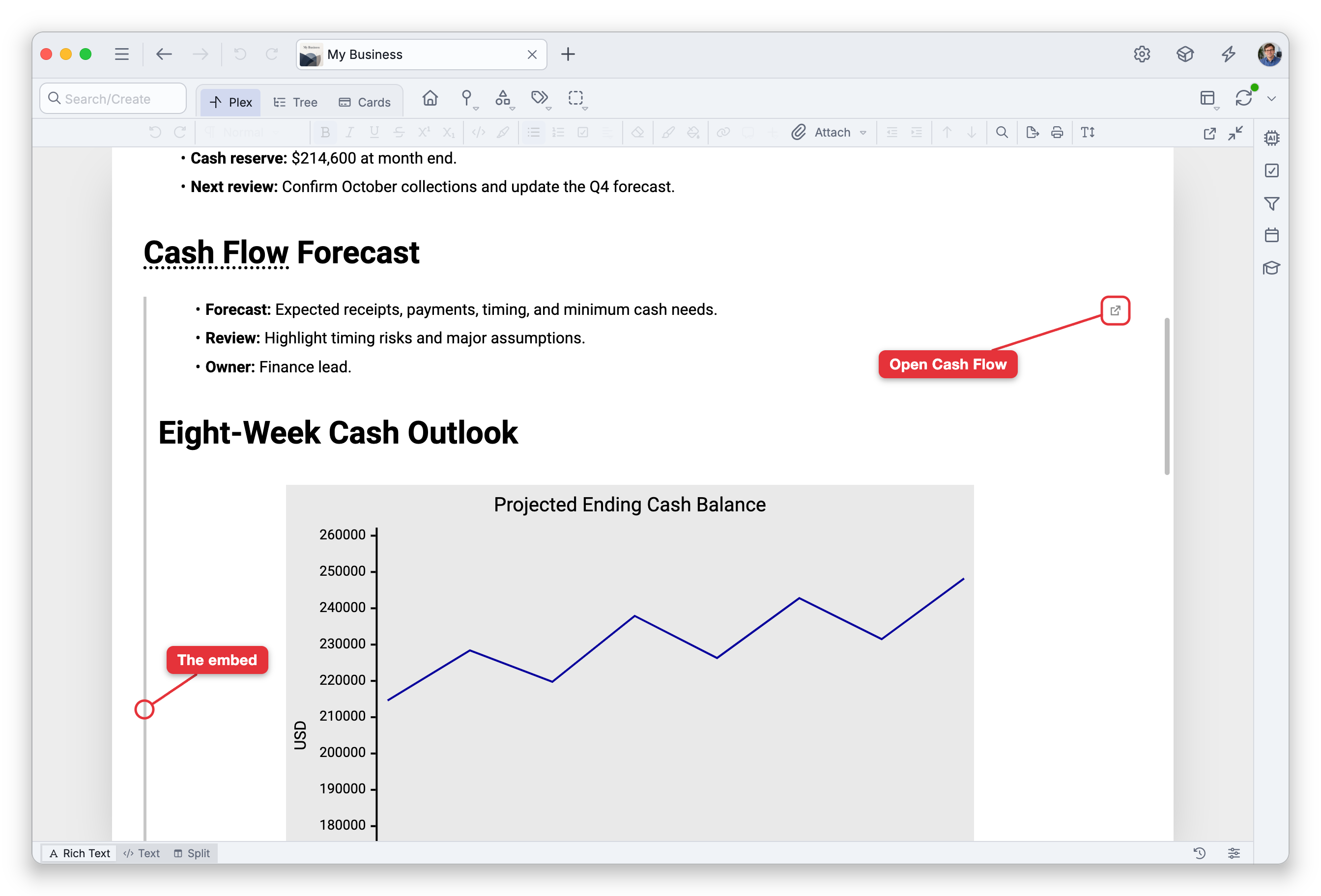 The end of the note of Finances: a Cash Flow Forecast heading, and under it the note of Cash Flow shown in place, with a thin bar along its left edge, its bullets, its Eight-Week Cash Outlook heading and a chart. Labels point at the bar of the embed and at the Open Cash Flow button in its top-right corner