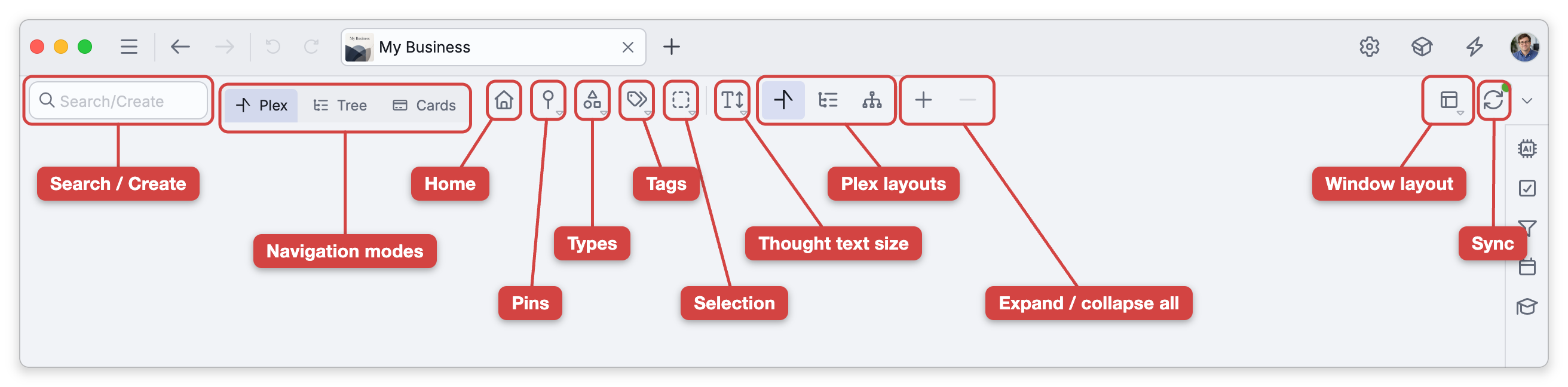 The brain toolbar, with labels naming the Search/Create box, the Plex, Tree and Cards navigation modes, the Home, Pins, Types, Tags, Selection and thought text size buttons, the Plex layout buttons, Expand All and Collapse All, Window Layout and Sync