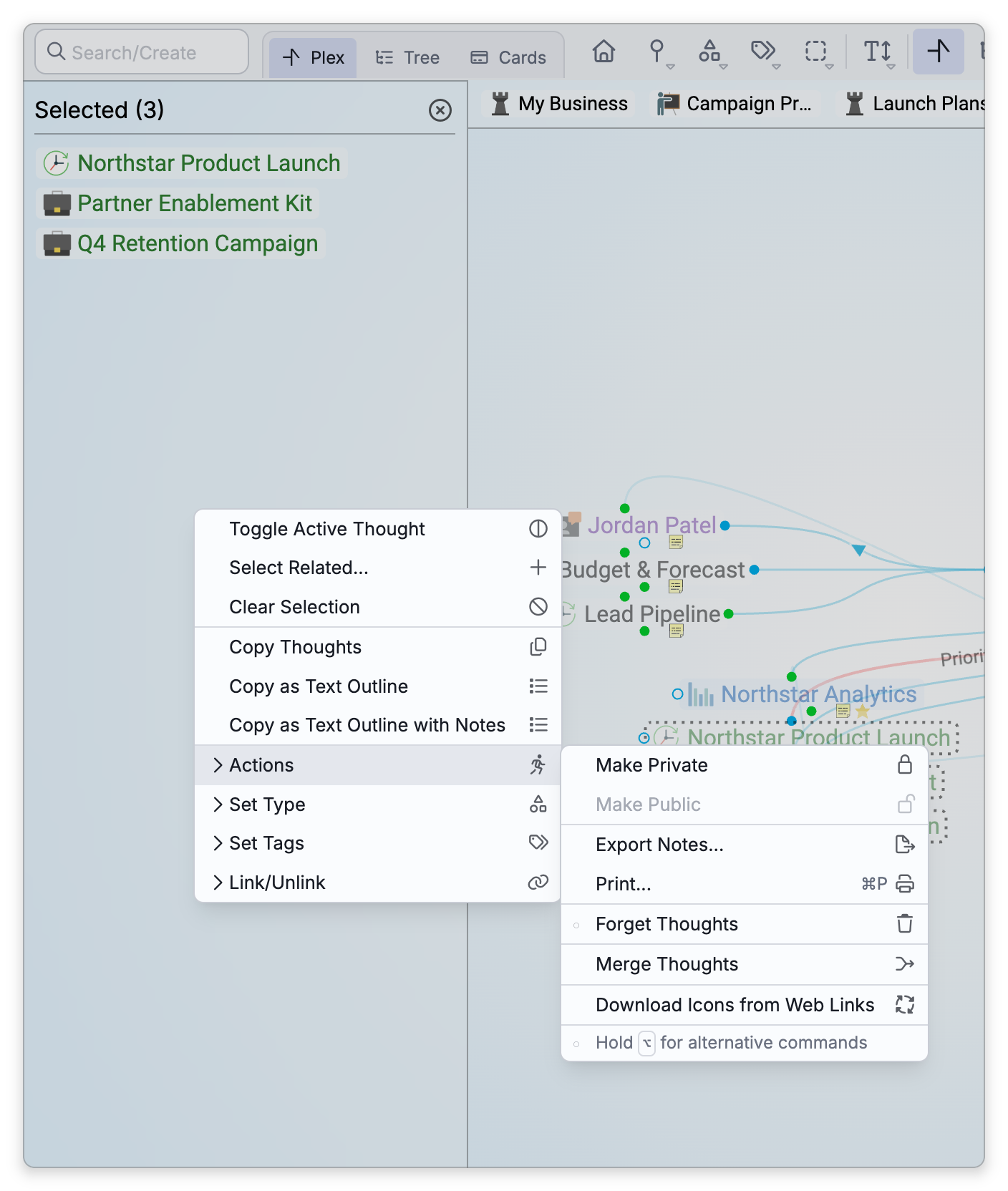 The selection menu opened over the selection panel: Toggle Active Thought, Select Related, Clear Selection, the three copy commands, then Actions, Set Type, Set Tags and Link/Unlink, with Actions open on Make Private, Make Public, Export Notes, Print, Forget Thoughts, Merge Thoughts and Download Icons from Web Links