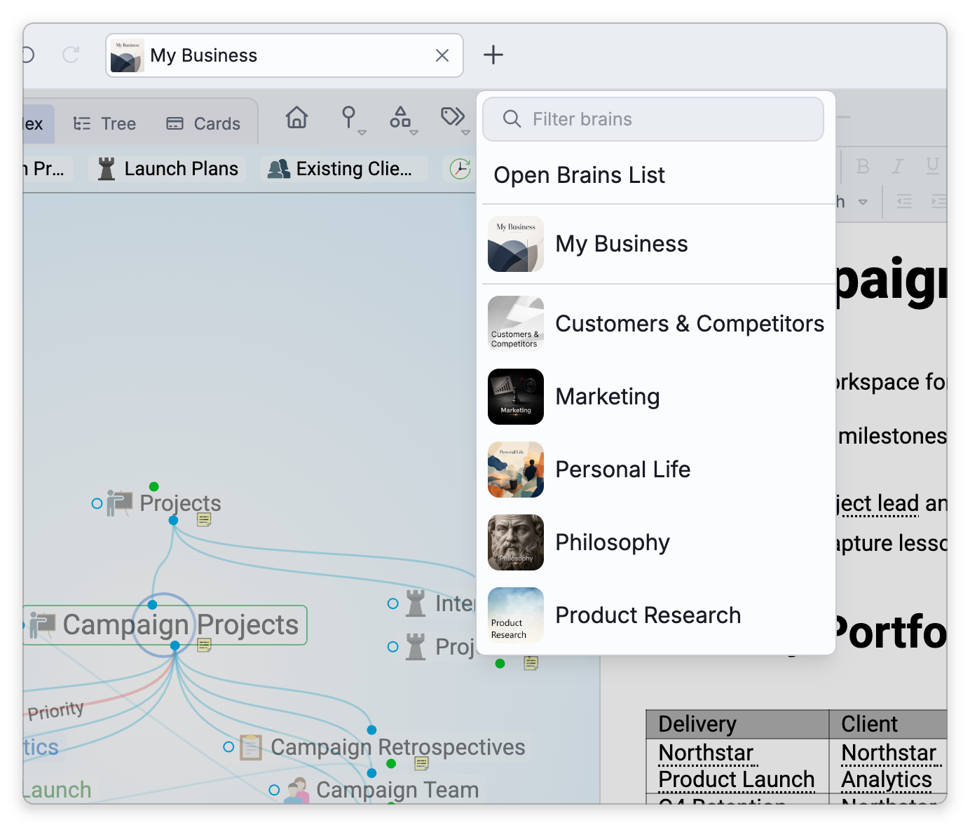 The brain switcher, open under the + button beside the My Business tab: a Filter brains box, Open Brains List, the favorite brain My Business, and below a line the other brains in alphabetical order
