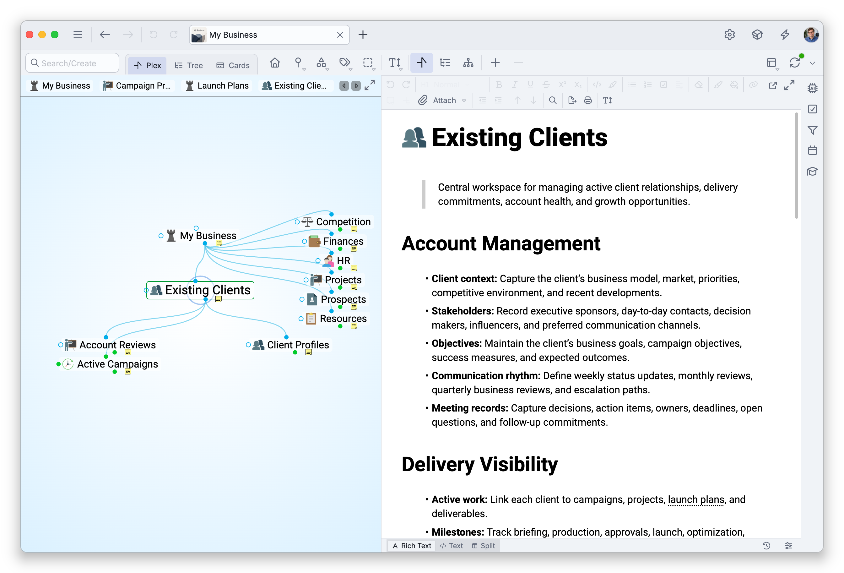 A brain window with the thought Existing Clients active and its note in the content area — the thought's name at the top, then a quote, a heading and a bulleted list with bold text, with the formatting toolbar above and the Rich Text, Text and Split buttons along the bottom