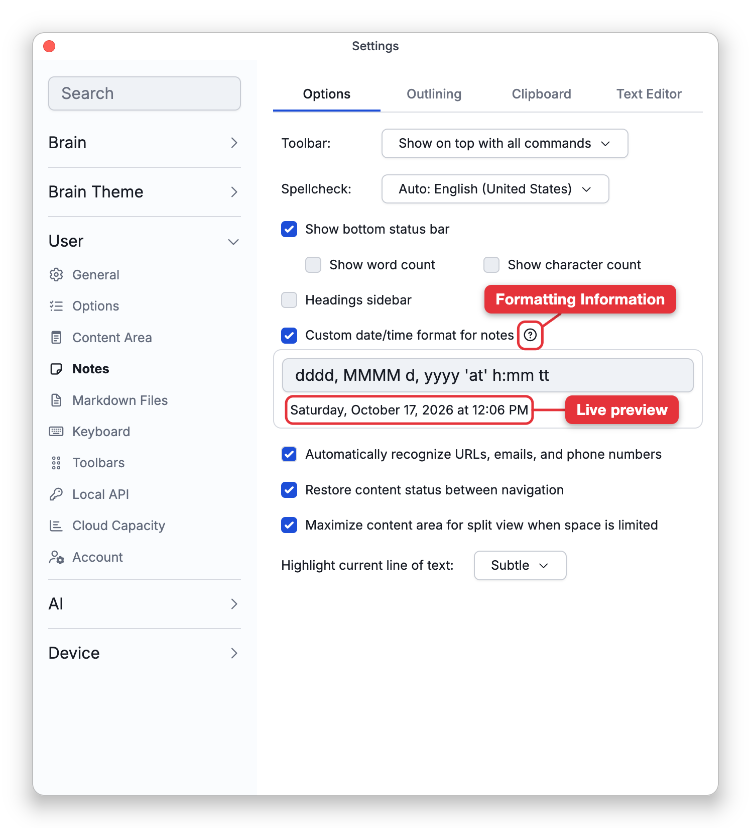 Settings > User > Notes, Options tab, with Custom date/time format for notes ticked. The box holds the format dddd, MMMM d, yyyy 'at' h:mm tt, and the line under it previews it as Saturday, October 17, 2026 at 12:06 PM. Labels point at the Formatting Information button and at the live preview