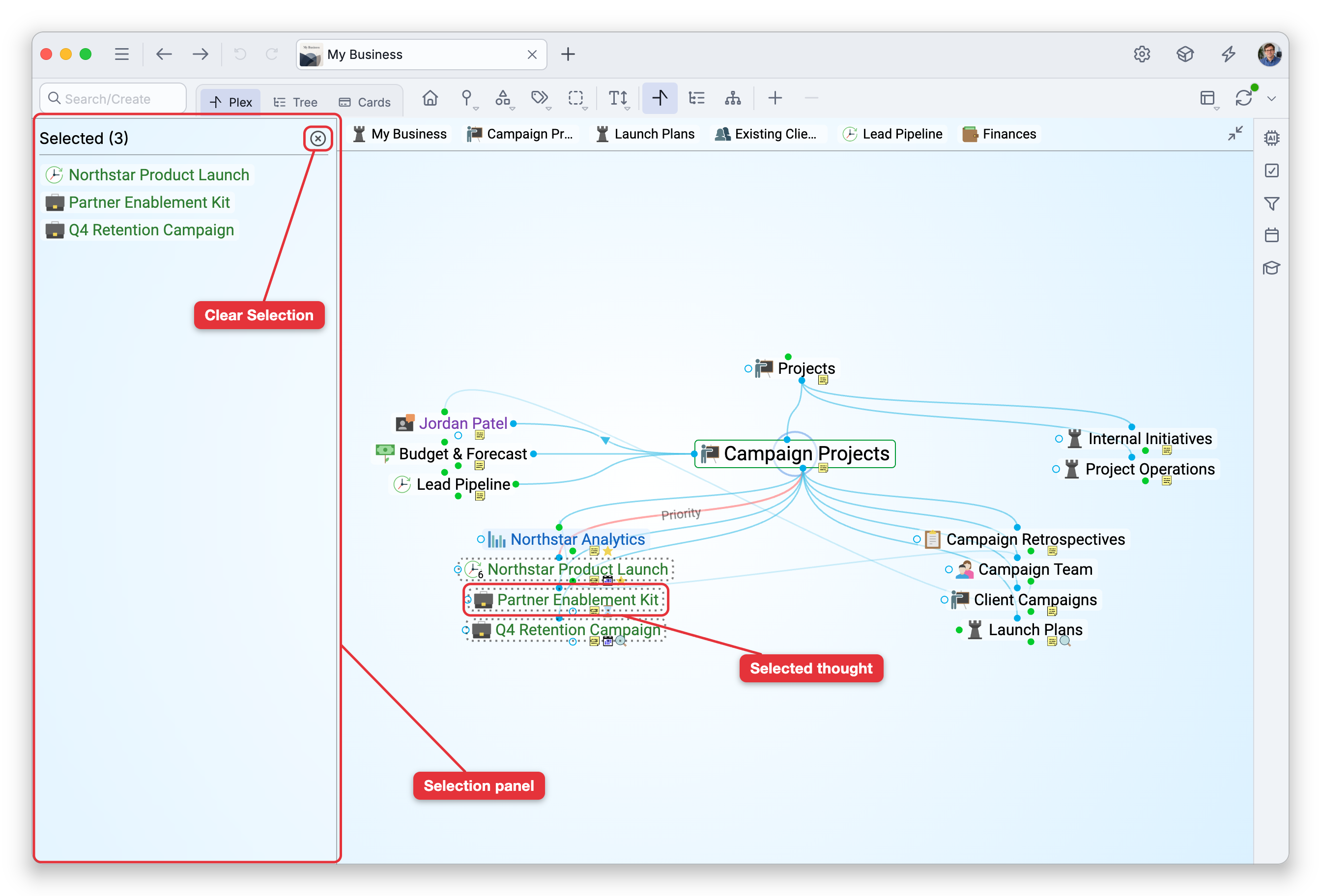 Three projects selected in the Plex, each with a dashed outline, and the selection panel on the left listing them under Selected (3). Labels point at the panel, its Clear Selection button and one of the selected thoughts