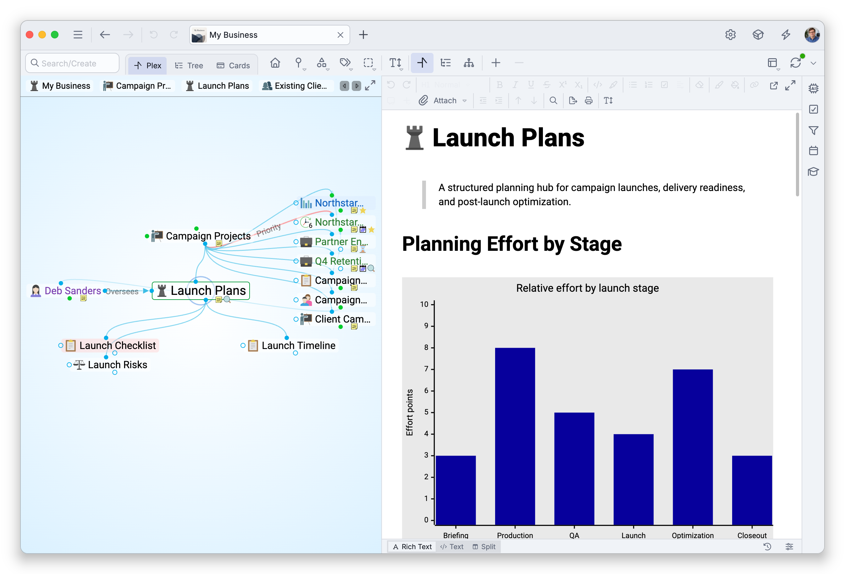 A brain window — the title bar and the toolbar along the top, the Plex on the left with the thought Launch Plans active, and the content area on the right showing its note
