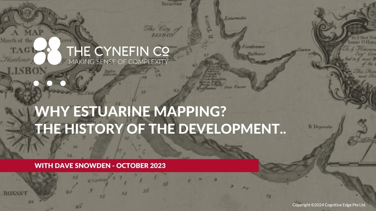 Why Estuarine Mapping? Organisation Development, Change Management, Leadership... - YouTube