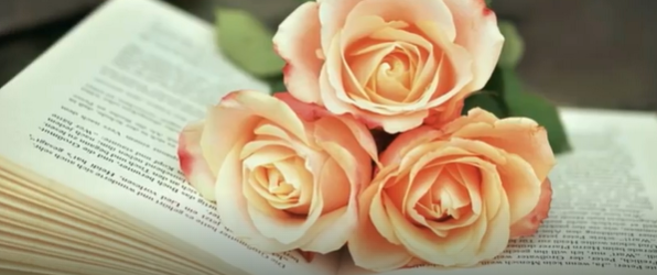 BOOK OF ROSES    2025-09-15_10-33-34