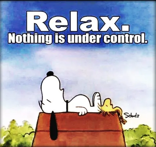 Relax_NothingIsUnderControl