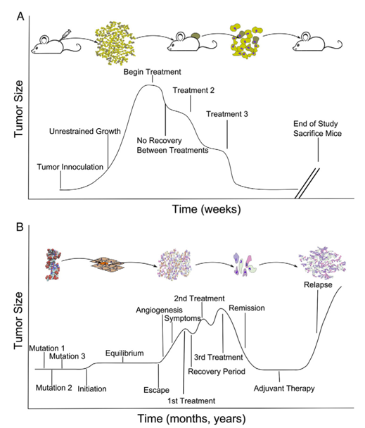 tumor-model
