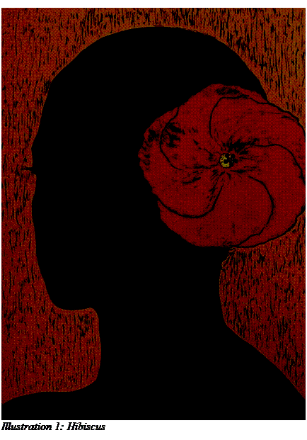 Text Box:  Illustration 1: Hibiscus