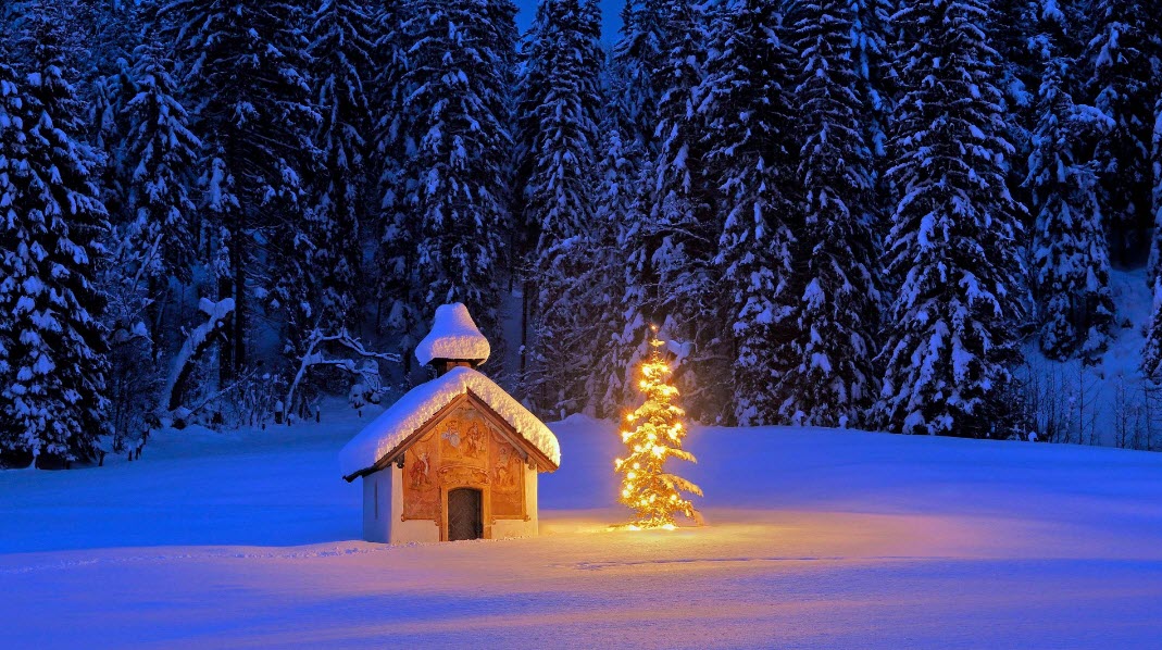 z    LITTLE WINTER HOUSE    2025-12-24_10-41-00