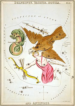 Sidney_Hall_-_Urania's_Mirror_-_Delphinus,_Sagitta,_Aquila,_and_Antinous