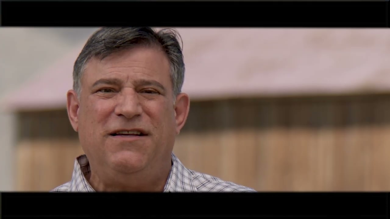 The ad