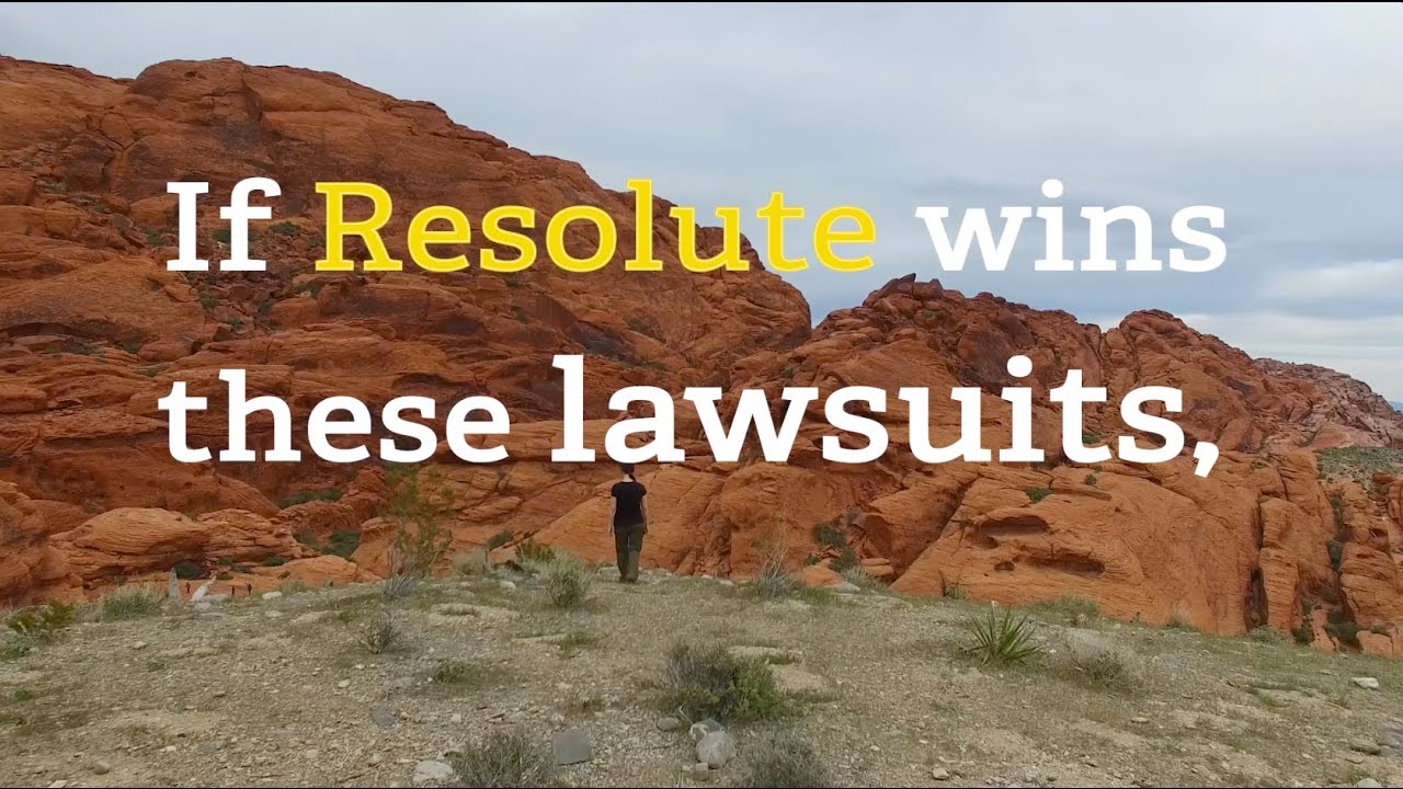 Resolute case