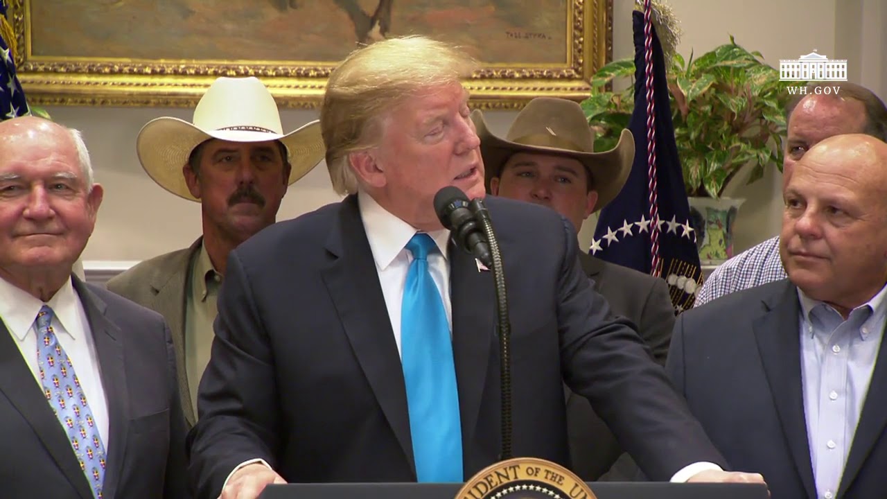 ‘extremely stable genius’