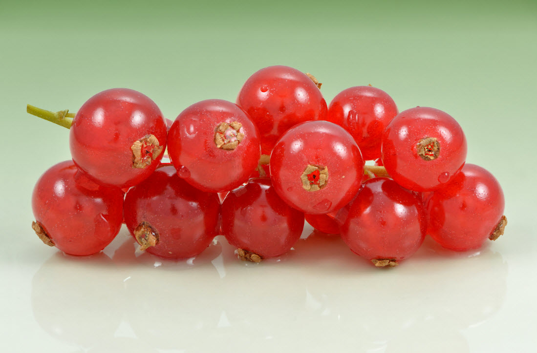 Red Currants